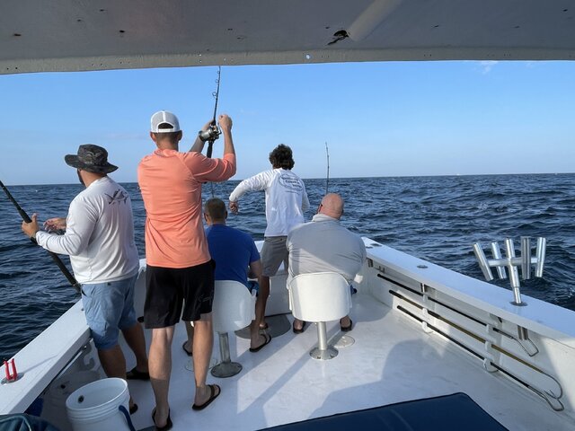 Listing image 1058621