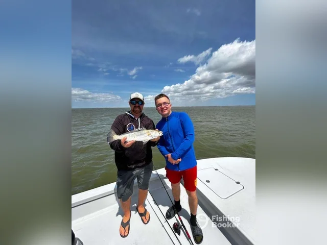 Listing image 1053349