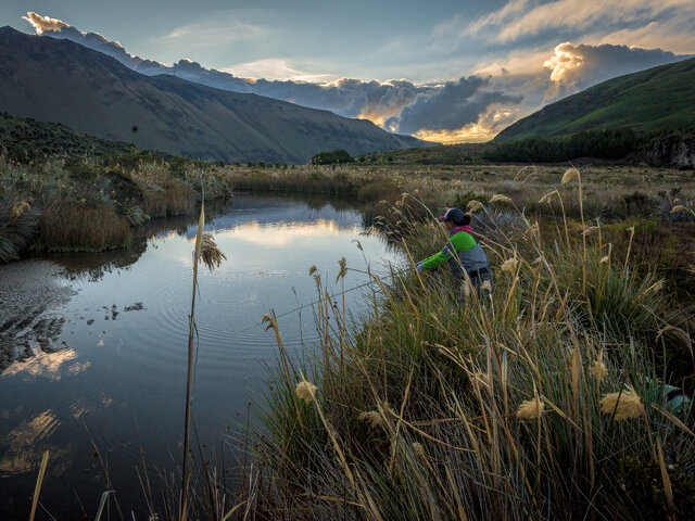 Listing image 1047901