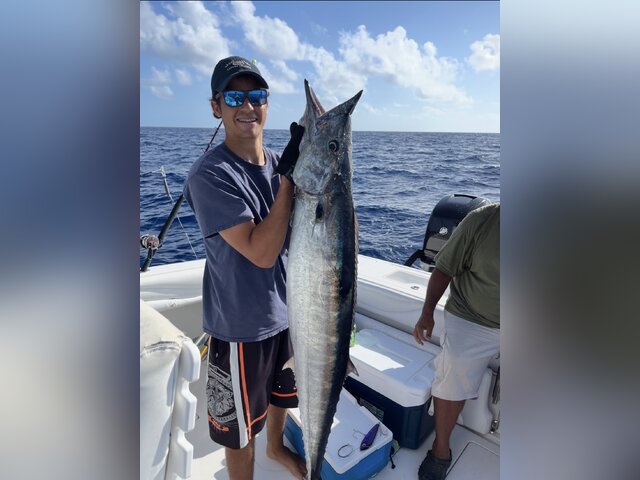 Listing image 1255339