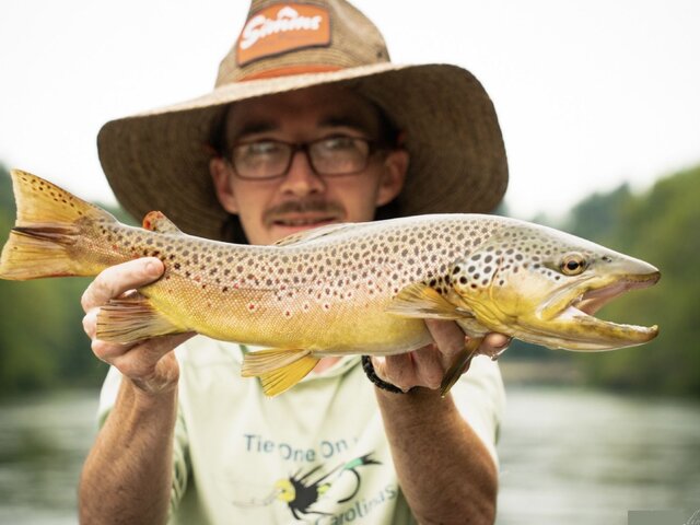 Listing image 1048821