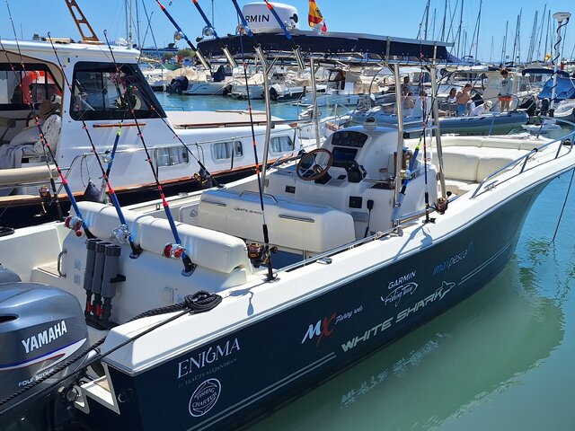 Listing image 1050407