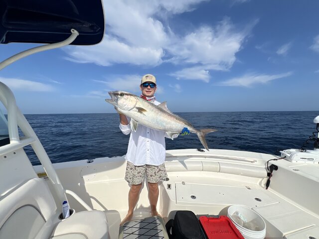 Listing image 1049705