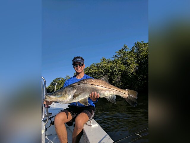 Listing image 1050402