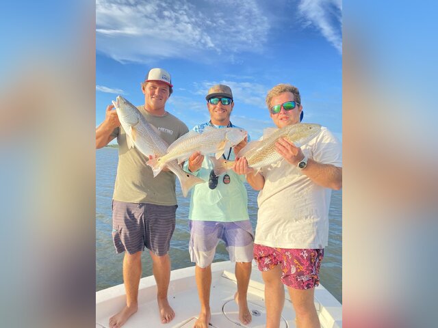 Listing image 1049951