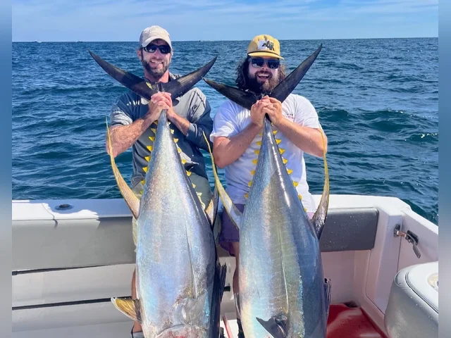 Listing image 1055290