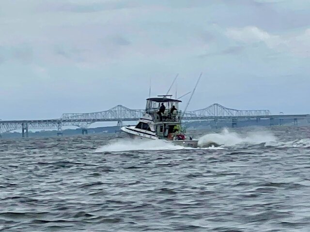 Listing image 1058393