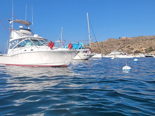 Listing image 1375473