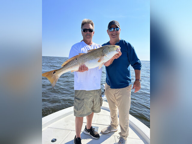 Listing image 1055218