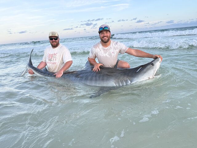 Listing image 1316122