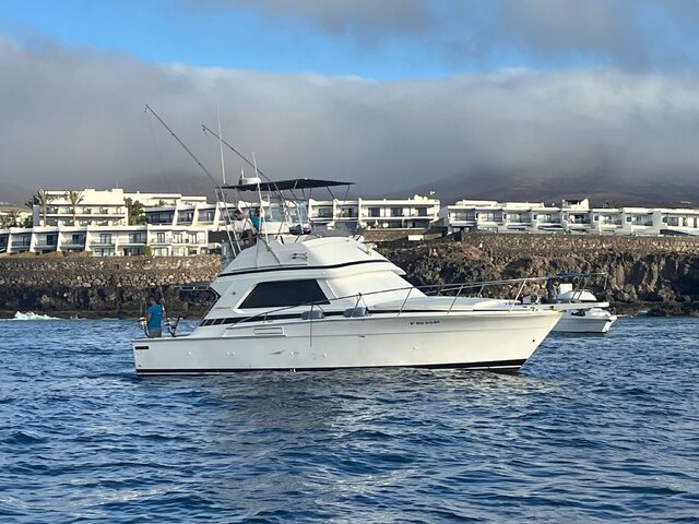 Listing image 1098523