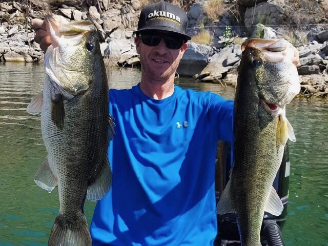 Listing image 1067872