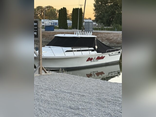 Listing image 1319239