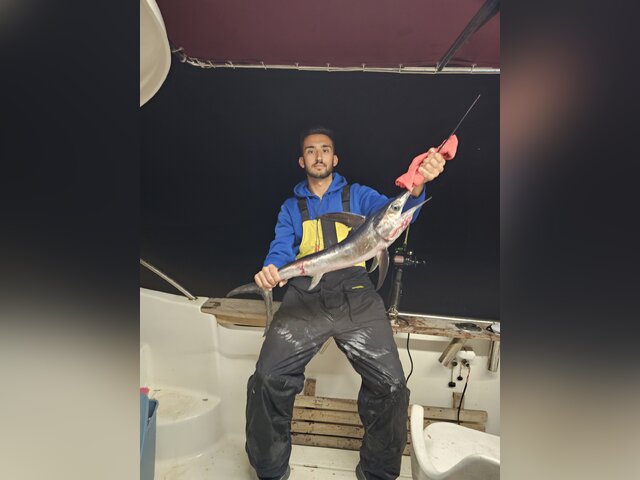 Listing image 1172749