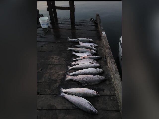 Listing image 1058615