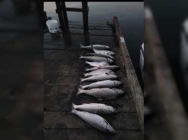 GA WestCoast Charters – Bamfield thumbnail