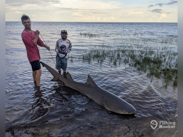 Listing image 1069390