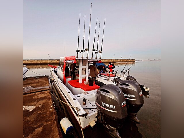 Listing image 1059627