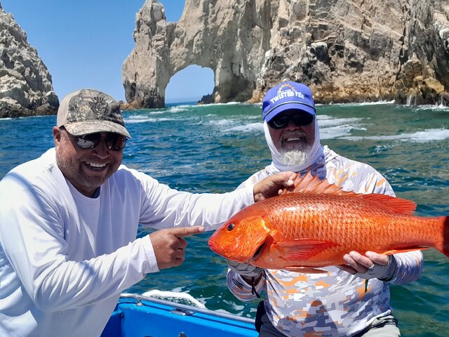 Listing image 1060218