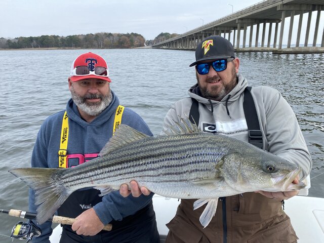 Listing image 1061248