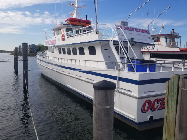 Listing image 1062318