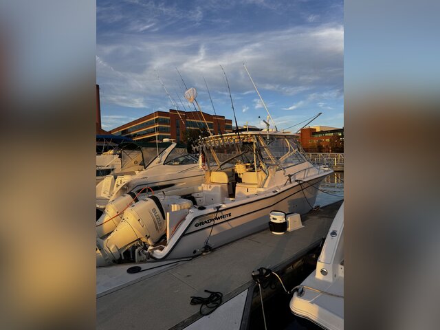 Listing image 1115095