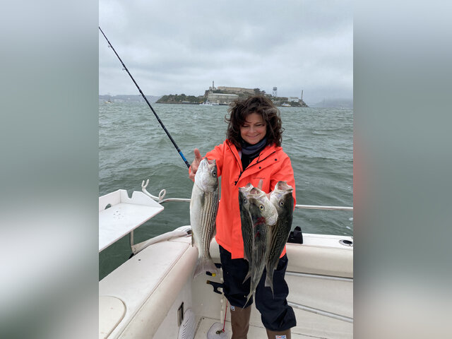 Listing image 1062019