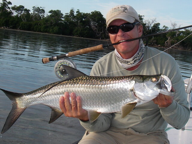 Listing image 1063262