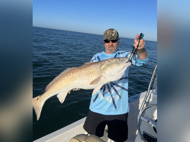 Listing image 1073620