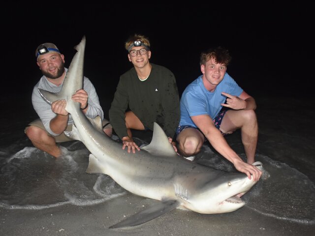 Listing image 1064424