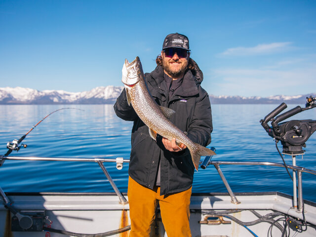 Listing image 1065702