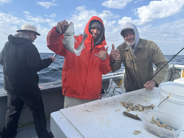 Listing image 1065795