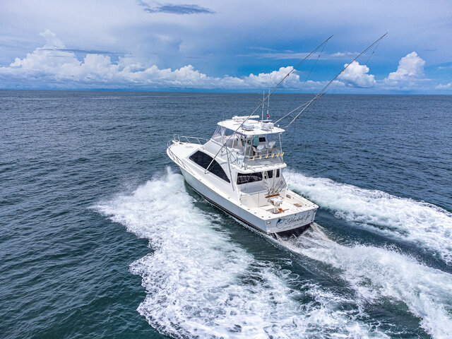 Listing image 1087835