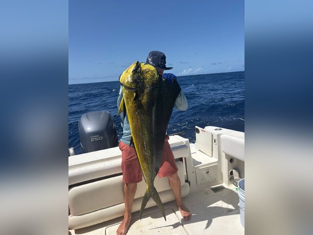 Listing image 1227180