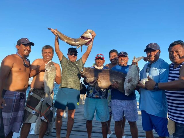 Listing image 1068902