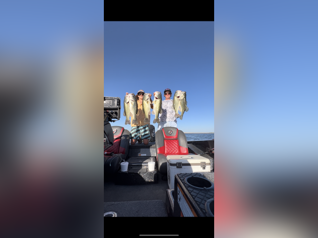 Listing image 1097942