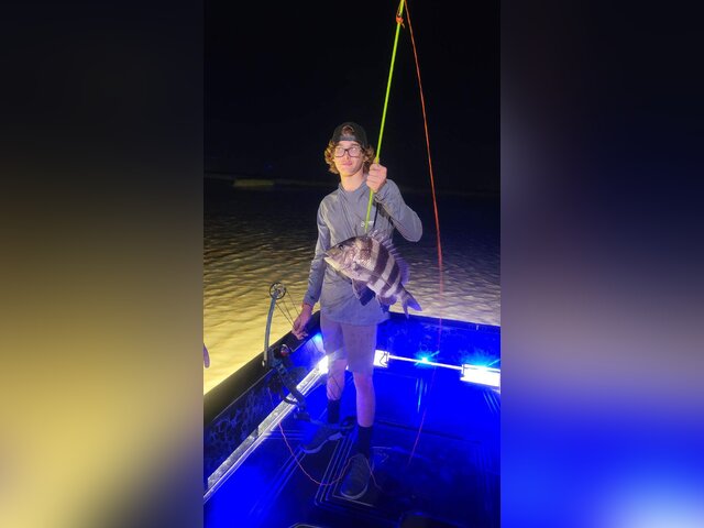 Listing image 1069038