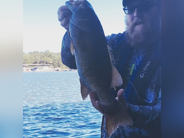 Listing image 1070640