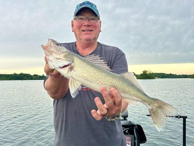 Listing image 1082093