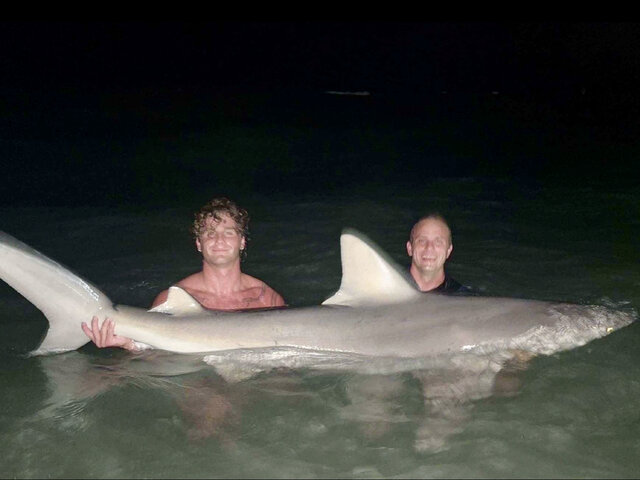 Listing image 1248513