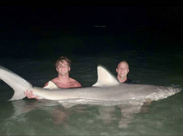 Tampa Bay Shark Fishing thumbnail