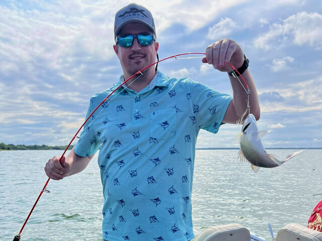 Listing image 1293610