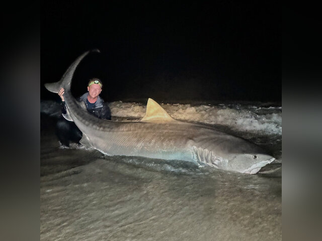 Listing image 1073283