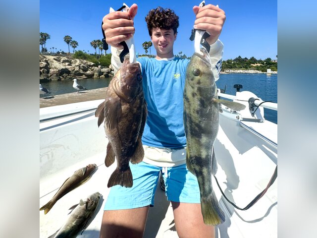 Listing image 1206395