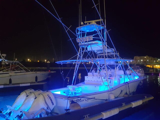 Listing image 1075481