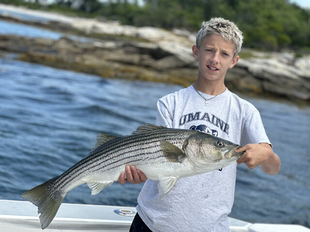 Listing image 1075748