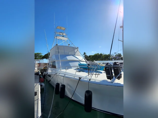 Listing image 1080560