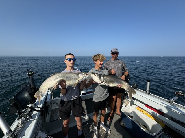 Listing image 1079074