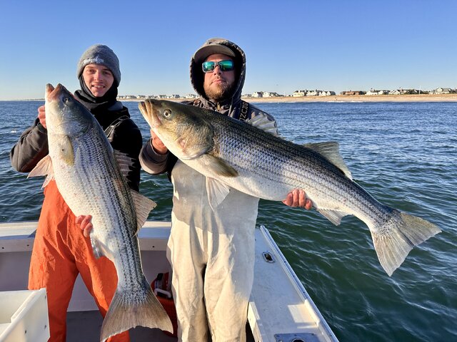 Listing image 1079877