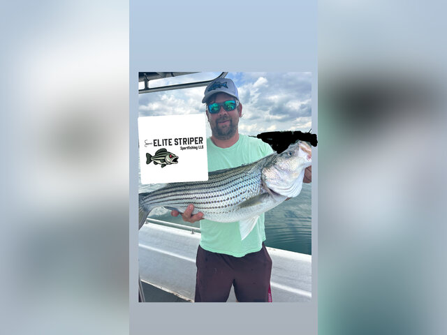 Listing image 1175501